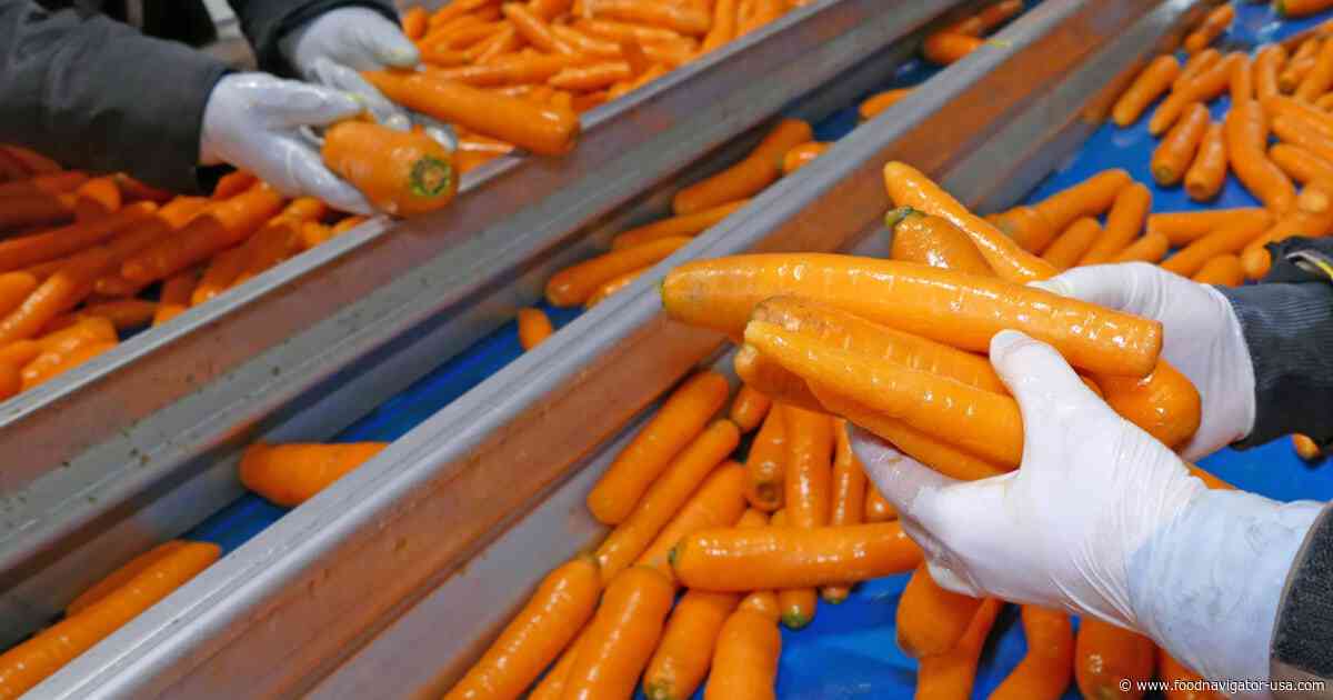 Ingredion acquires upcycled prebiotic fiber amid $3.7 billion Tate & Lyle bid