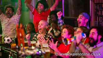 Football goal celebrations could cost fans up to £188 this summer, study finds