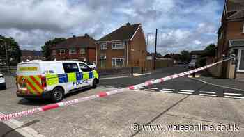 Man stabbed on Cardiff street in suspected robbery