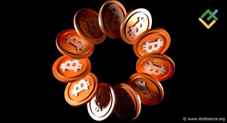 Guide to Bitcoin Cycle
