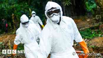 'Speed, money and compassion' - lessons from an Ebola survivor and other experts