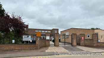 Nine children hospitalised after eating seeds and berries at primary school