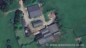 Prince William puts 600-acre farm up for sale for £6.65m