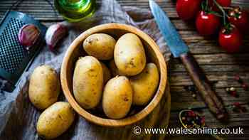 Potatoes won't sprout for 6 months when stored in an unexpected place