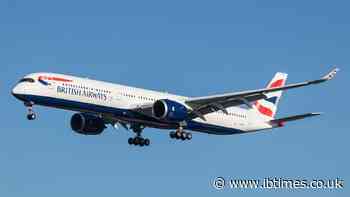 Drunk British Airways Stewardess Suspended for Allegedly Lifting Top, Offering 'S*x for Wine' in Hotel Lobby