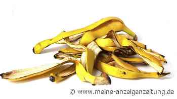 Tipp: Diese 9 cleveren Tricks mit Bananenschalen helfen in Ihrem Haushalt und Garten