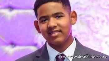 Teenager killed in alleged postcode gang war in Birmingham