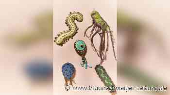 Das Mikrobiom: Was ist was? Ein für alle Mal erklärt