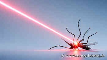Entwickler baut KI-Laser für Mückenjagd