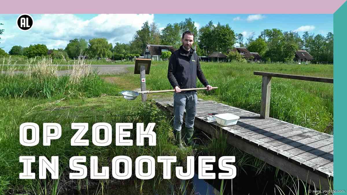 Slootjes onderzoeken | Doe Het Samen