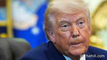 Trump net approval hits new low: Polling tracker 
