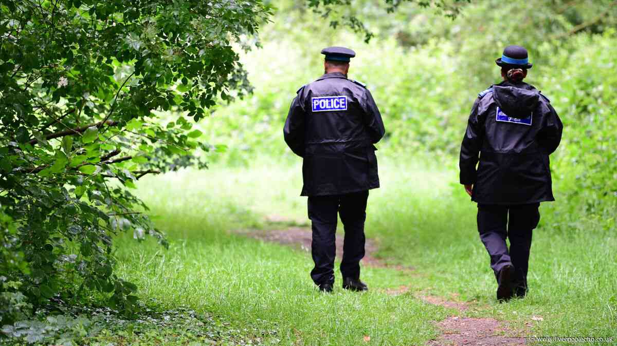 Four arrested after cache of guns found in Netherton woods