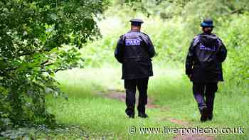 Four arrested after cache of guns found in Netherton woods