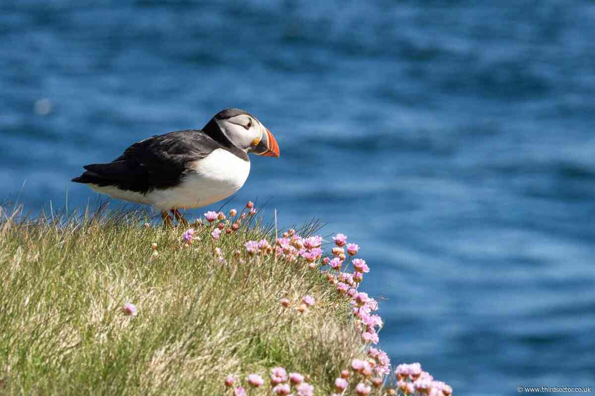 RSPB puts jobs at risk as its aims to cuts costs by 7 per cent