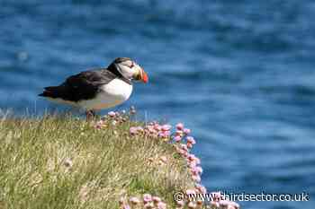 RSPB puts jobs at risk as its aims to cuts costs by 7 per cent