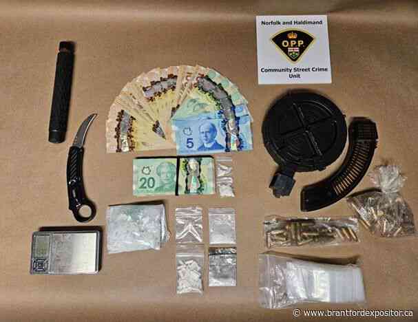 Brant County man, 38, facing numerous drug, weapons charges
