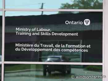 Leamington temp agency, director fined $150K for failing to pay workers