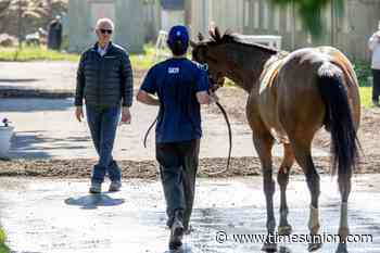 With Renegade and Powershift, Todd Pletcher has 2 chances to win 5th Belmont