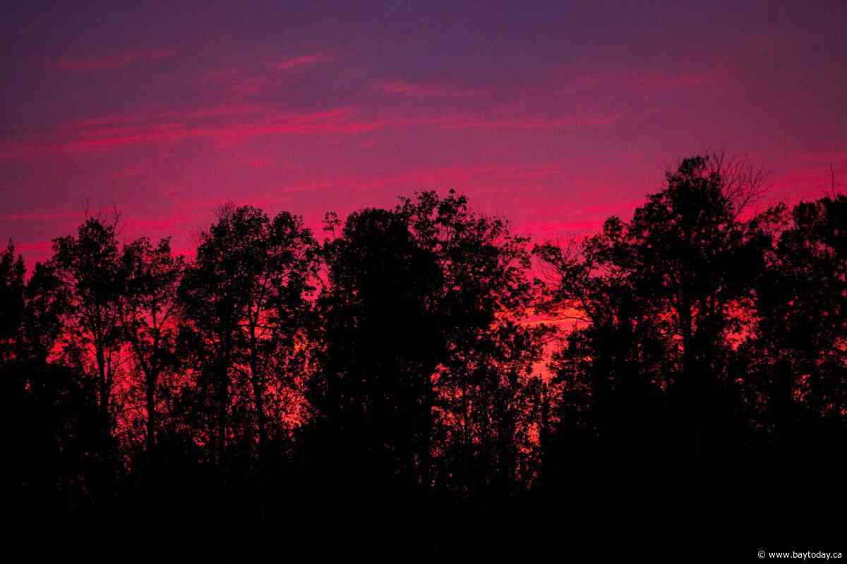 Northern Ontario First Nation evacuates as fire crews battle spreading wildfire