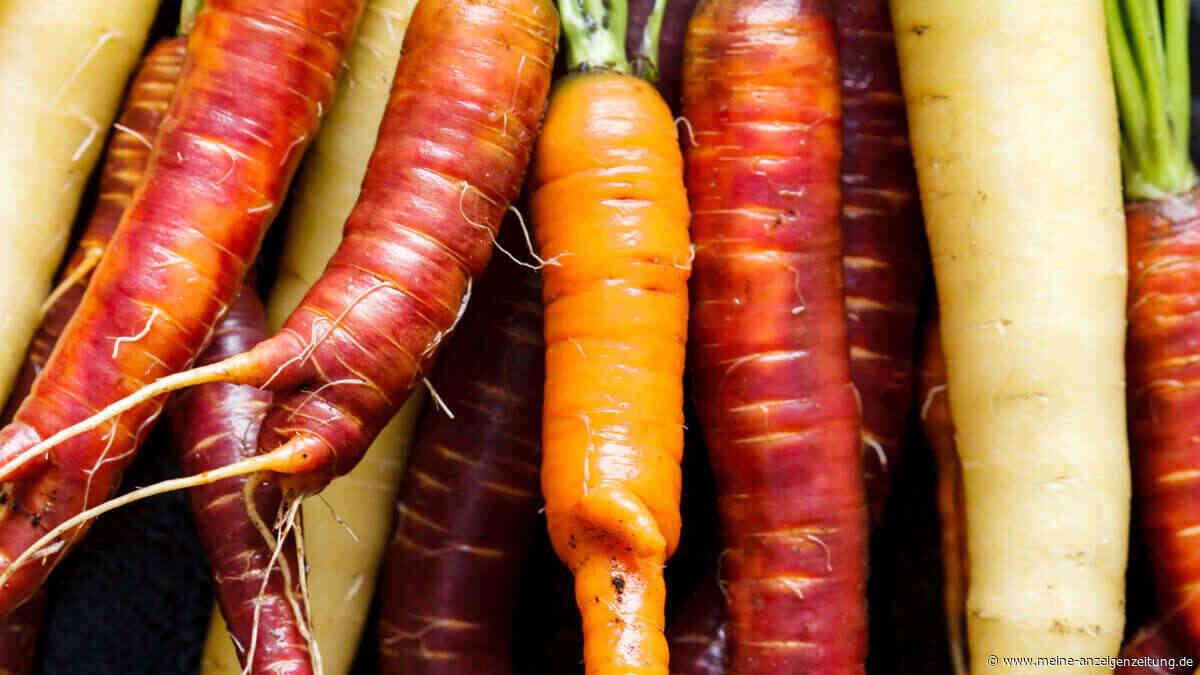 Möhrensorten im Überblick: So finden Sie die perfekte Karotte für Garten, Balkon und Hochbeet