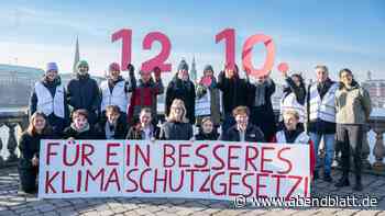 Initiativen warnen: Bürgerschaft will Volksentscheide in Hamburg erschweren