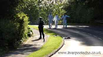 Three arrested and 120 stop searches carried out after Whiston double shooting