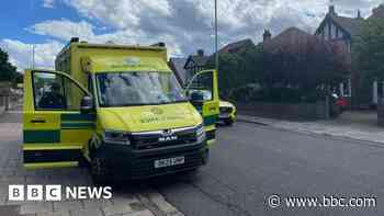 Nine children sent to hospital after eating seeds