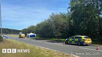 Post-mortem examination due after human remains find