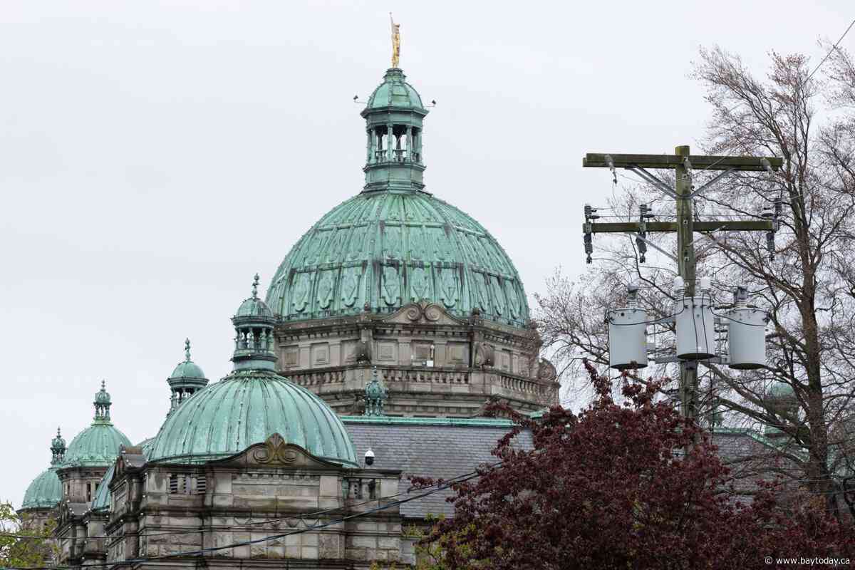Independent B.C. legislator Jordan Kealy charged with sexual assault