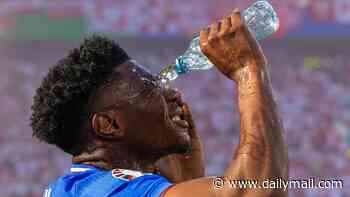 Outrage as FIFA bans fans from taking water bottles into World Cup stadiums despite fears over extreme heat: 'F***ing ridiculous'