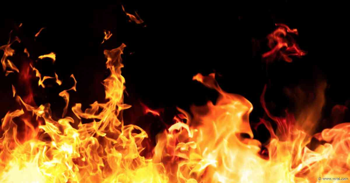 Wilson cat rescue destroyed by fire