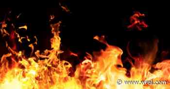 Wilson cat rescue destroyed by fire