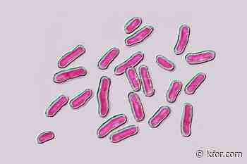 Popular frozen snack latest to be recalled over salmonella concerns: Full list