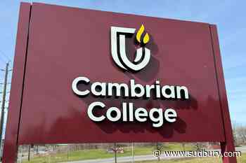 Cambrian’s revenue drops by half, but it still reports $7.3M surplus