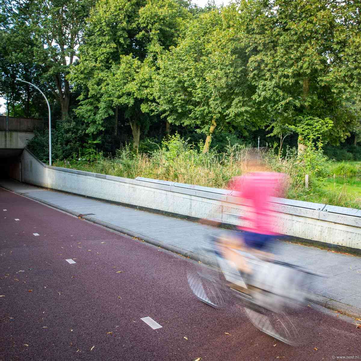 Tiener krijgt celstraf voor doodtrappen terminaal zieke man in Zwols tunneltje