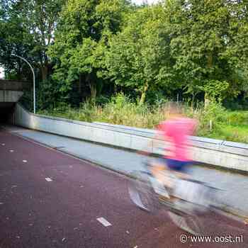Tiener krijgt celstraf voor doodtrappen terminaal zieke man in Zwols tunneltje