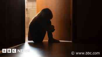 Failures at home where 'drunk child attacked police'