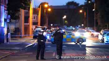 Anyone under 30 in Toxteth could be stopped by police tonight