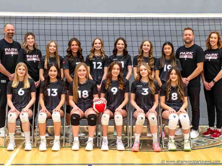 Park volleyball team finds glory