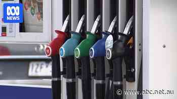 What happens when fuel excise cuts end on June 30?