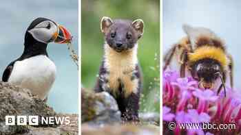 The 18 creatures in the running to be on the new banknotes