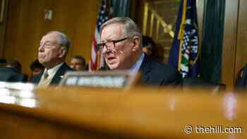Senators question tobacco firms on lobbying in wake of new FDA policy