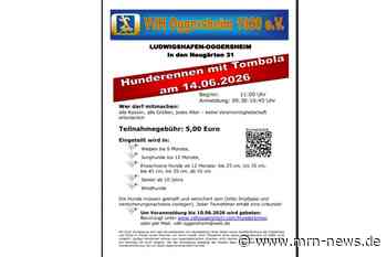 Ludwigshafen – Hunderennen beim VdH Oggersheim