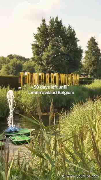 50 days left until Tomorrowland Belgium.