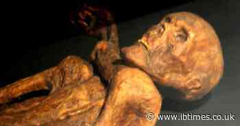 5,300-Year-Old Mummy's Yeast Helps Scientists Create a 'Very Good Sourdough