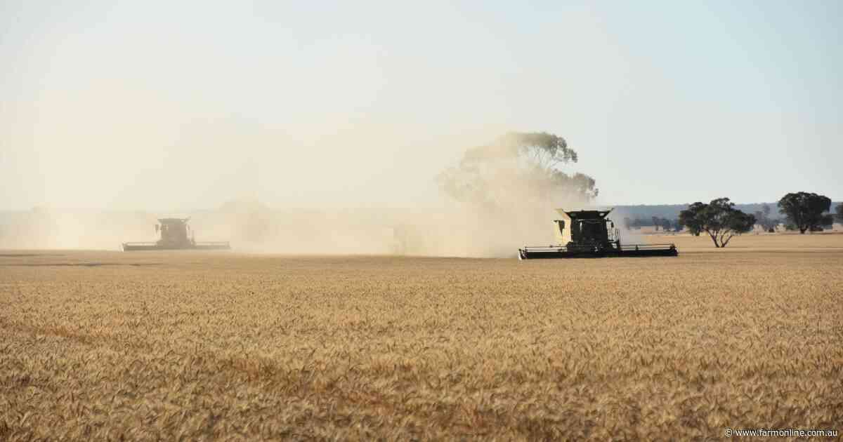 Risks of private grain bids: short-term gains might not be a great deal