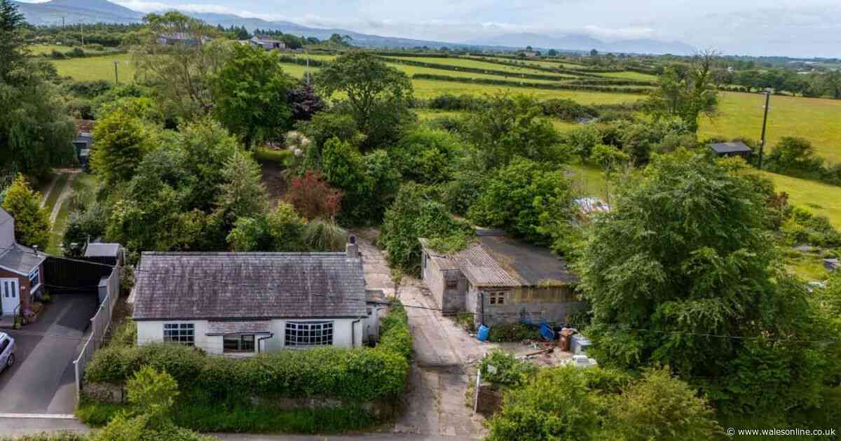 Basic bungalow doesn't look like much but it could give you a dream life near the sea