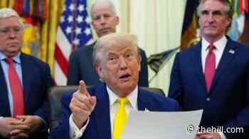 Trump says he did not notice cognitive decline in Biden during transfer of power
