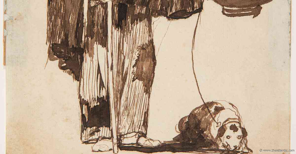 “To see like a dog in a work of art is to have moral perceptions about human beings”