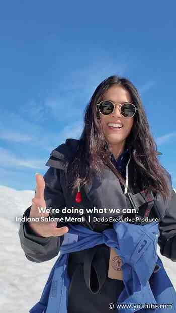 Witnessing a Major Glacier Collapse in Antarctica | The Dodo